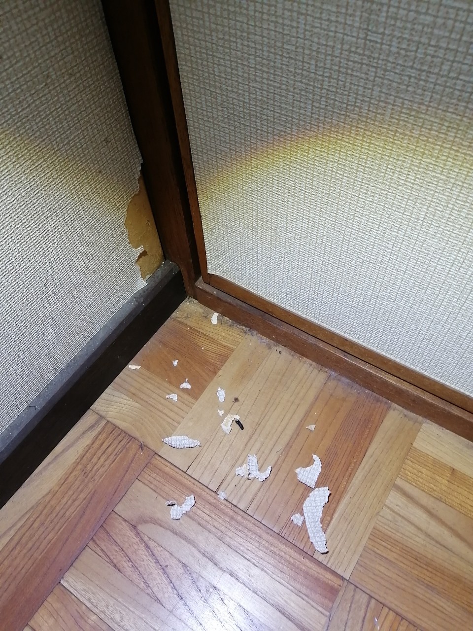 はがされた壁紙